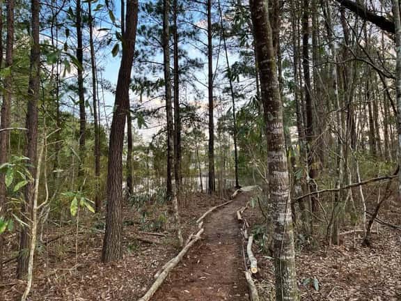 Oasis near Savannah | Lakefront Retreat + Game roo - Image 4